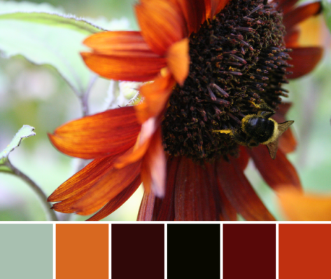 Autumnal color palette from a busy bee on a sunflower.