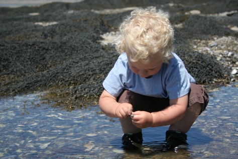 Playing in tide pools on Hutchins Island.
