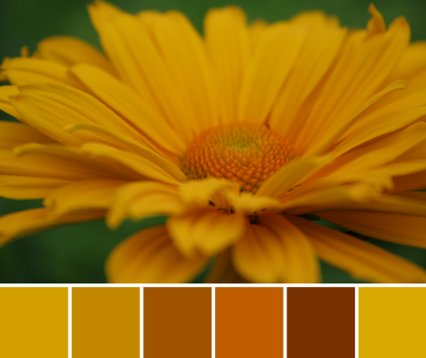 sunny yellow color palette