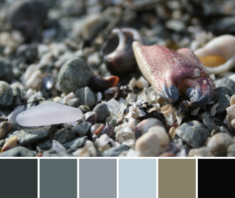 seaside treasures color palette