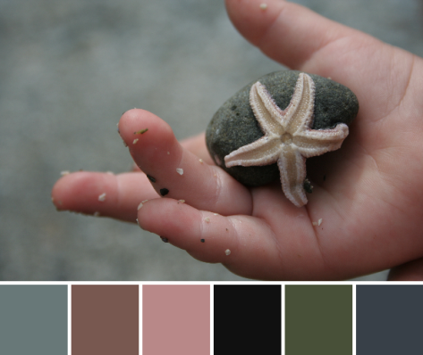peach starfish and child color palette