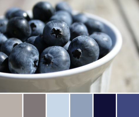 blueberries color palette