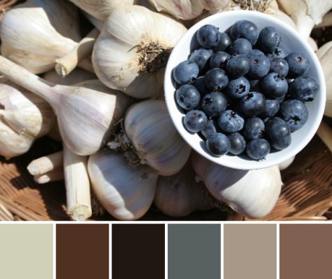 garlic and blueberries harvest color palette