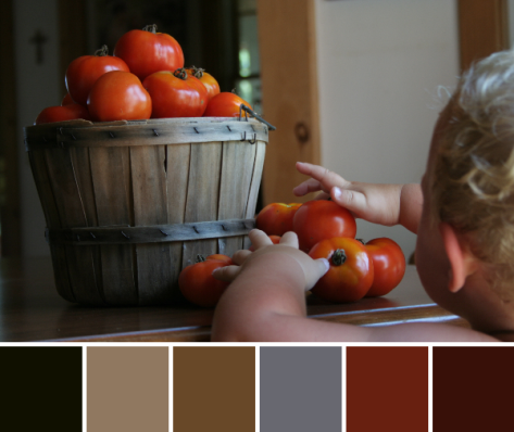 tomatoes and a helper color palette