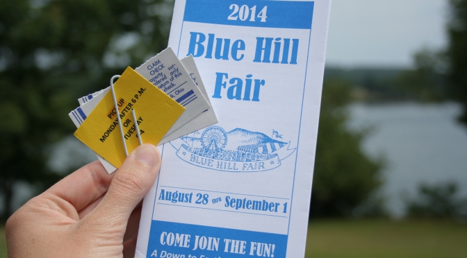 Blue Hill Fair Quilt Submission