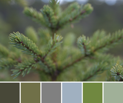 evergreen color palette
