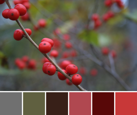 red berries color palette
