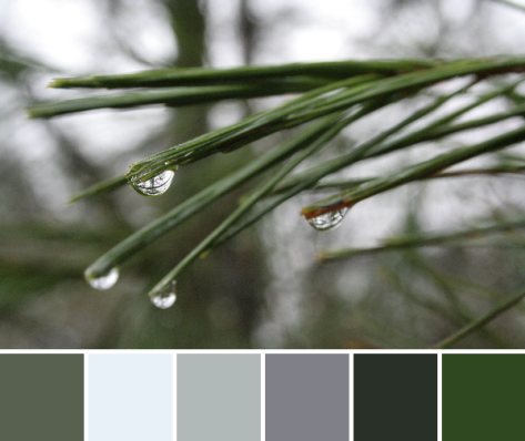 see the world in a drop of water color palette