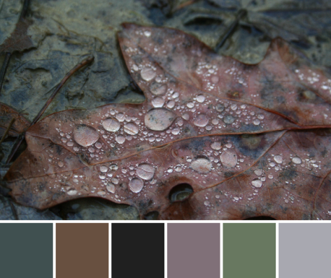 drip drop leaf brown color palette