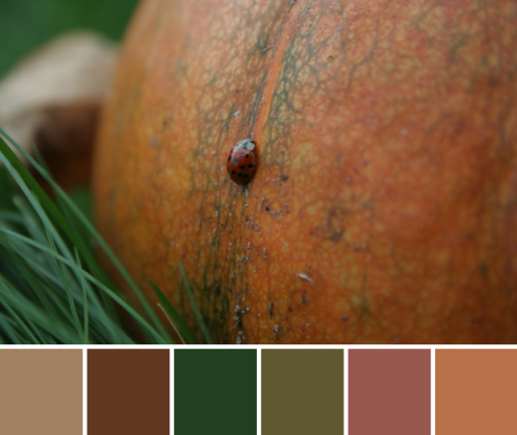 pumpkin ladybug autumn color palette