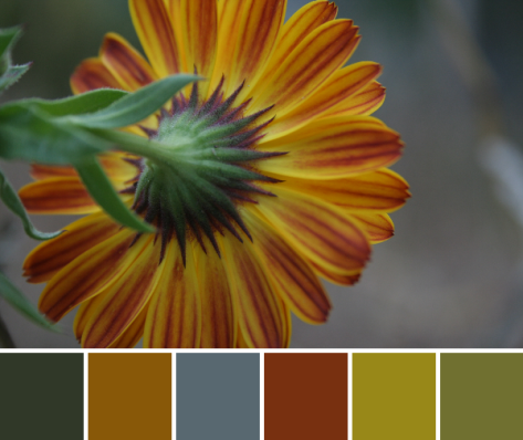 flower autumn color palette