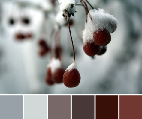 snowy red berries color palette