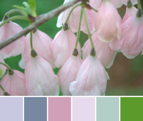 baby pink color palette flowers