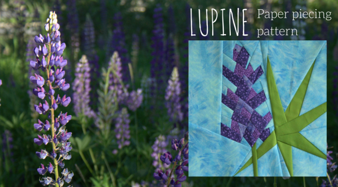 Lupine Season and a Summer Sale