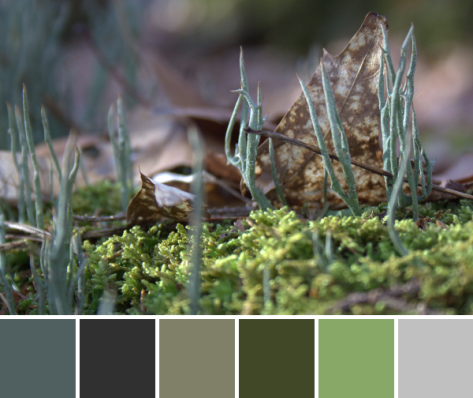 moss color inspiration palette