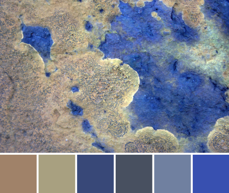 orange blue lichen stone color palette