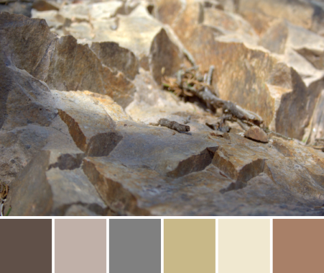 sand dune colors color palette