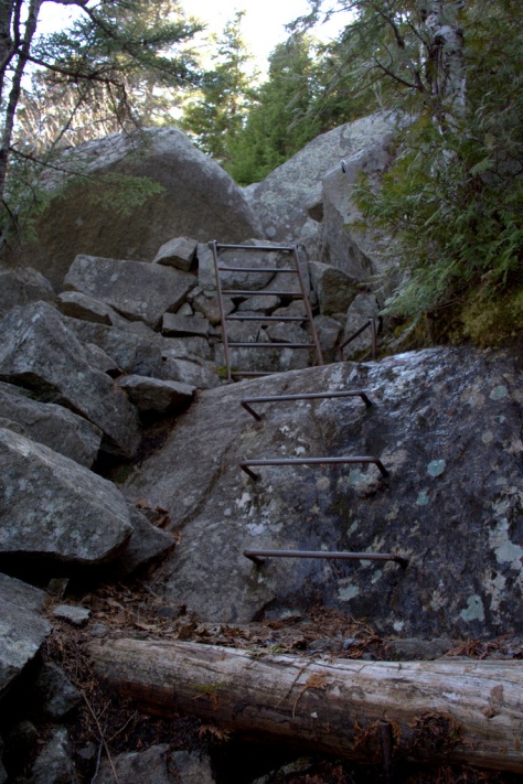 metal ladder trail