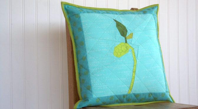 Make Earth Day Every Day: Grow Pillow