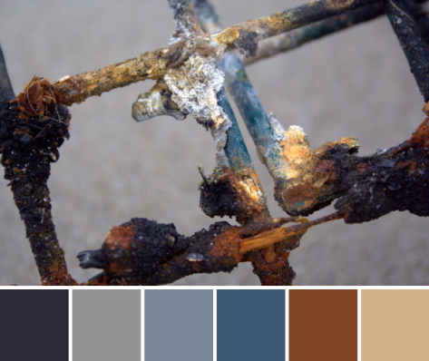 rusty lobster trap color palette