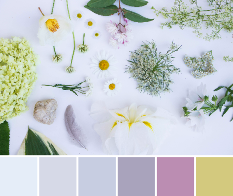 white flat lay color palette nature