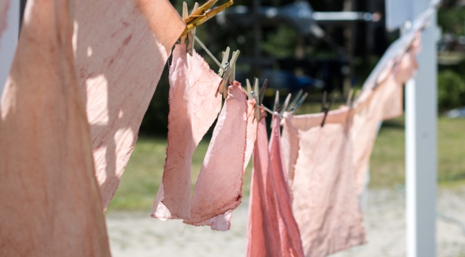 natural dyeing slow fashion retreat maine 2017